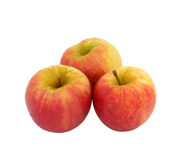 Appel Elstar 1kg (+/- 6 stuks)