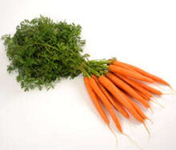 Busselwortelen 1 bussel