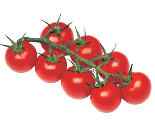 Cocktail trostomaat 500g