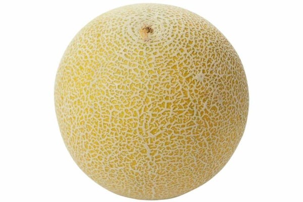 Galia meloen 1 stuk