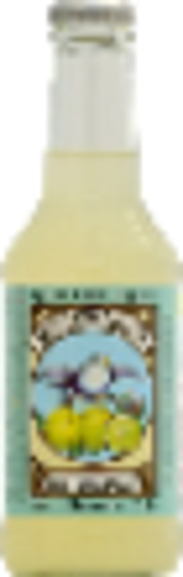 Naturfrisk bitterlemon 250ml