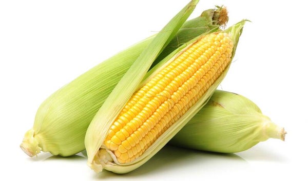 Verse maïs 1 stuk