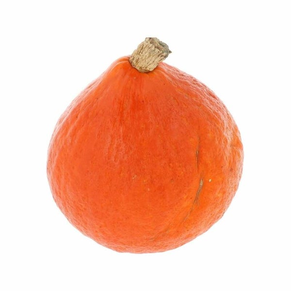 Oranje pompoen 1 stuk