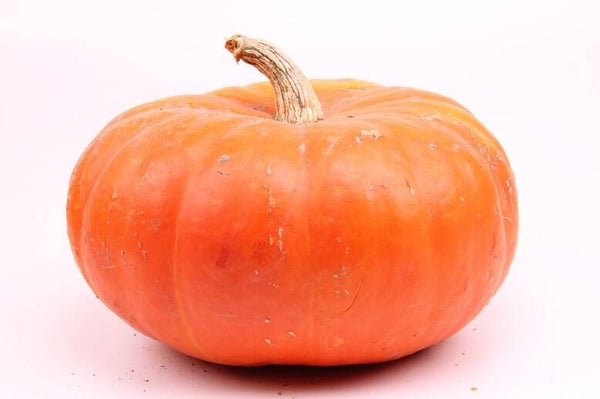Halloweenpompoen +/-5kg