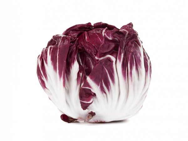 Radicchio 1 stuk