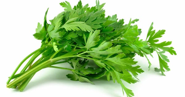 Groene selder