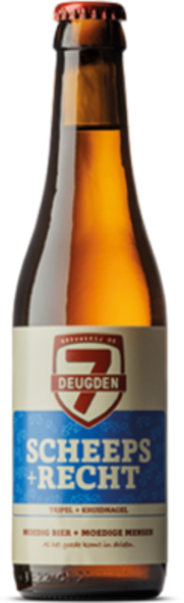 Scheeps + Recht - 7,5%