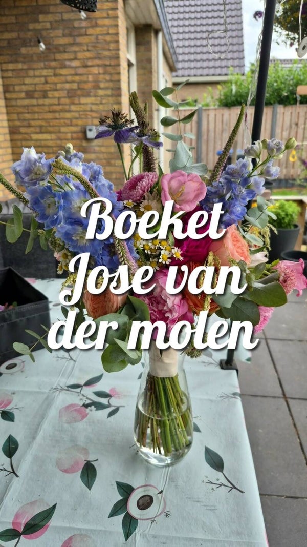 Boeket Jose