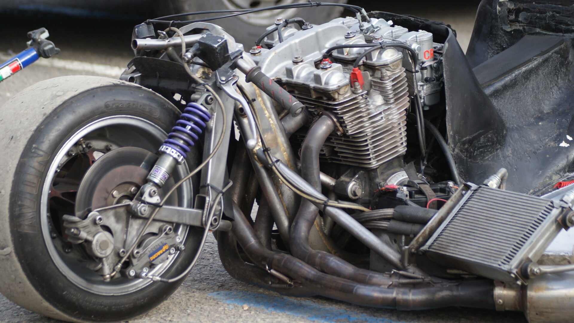 dsc07226-standard.jpg