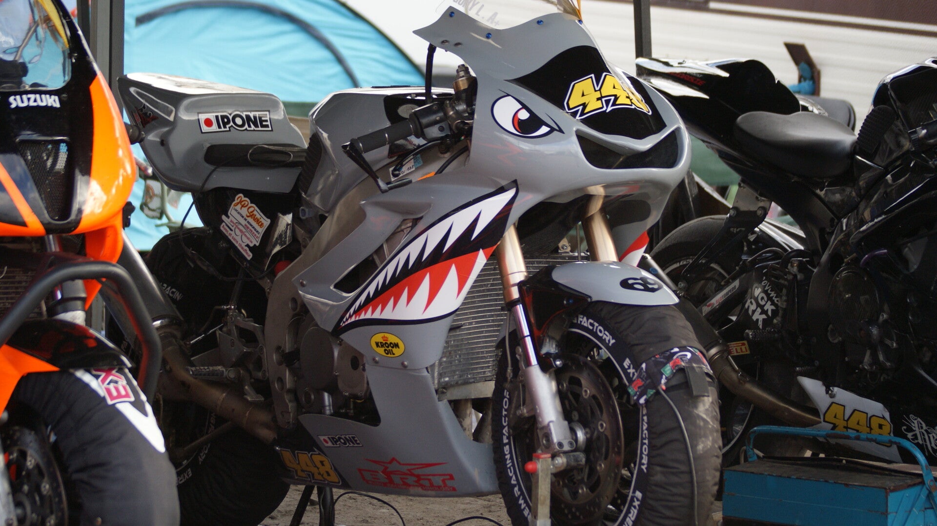 dsc07237-standard.jpg