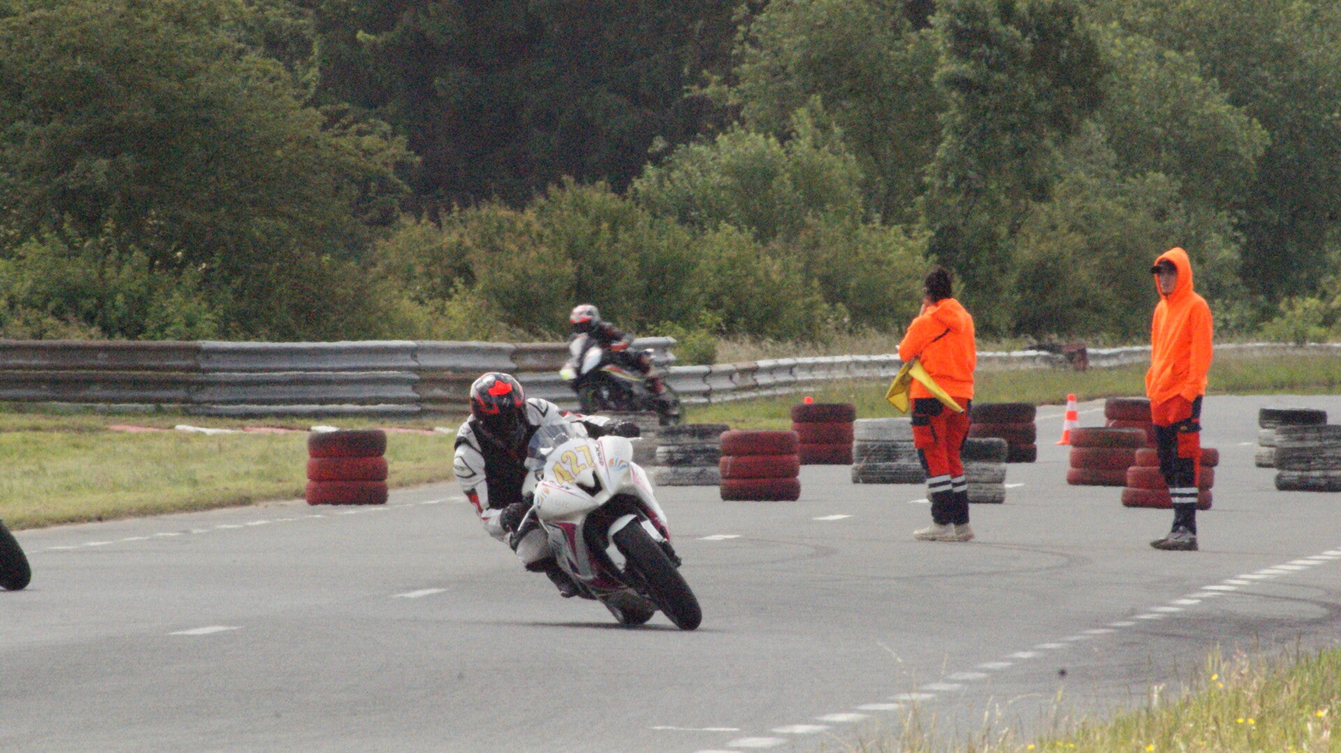 dsc07377-standard.jpg