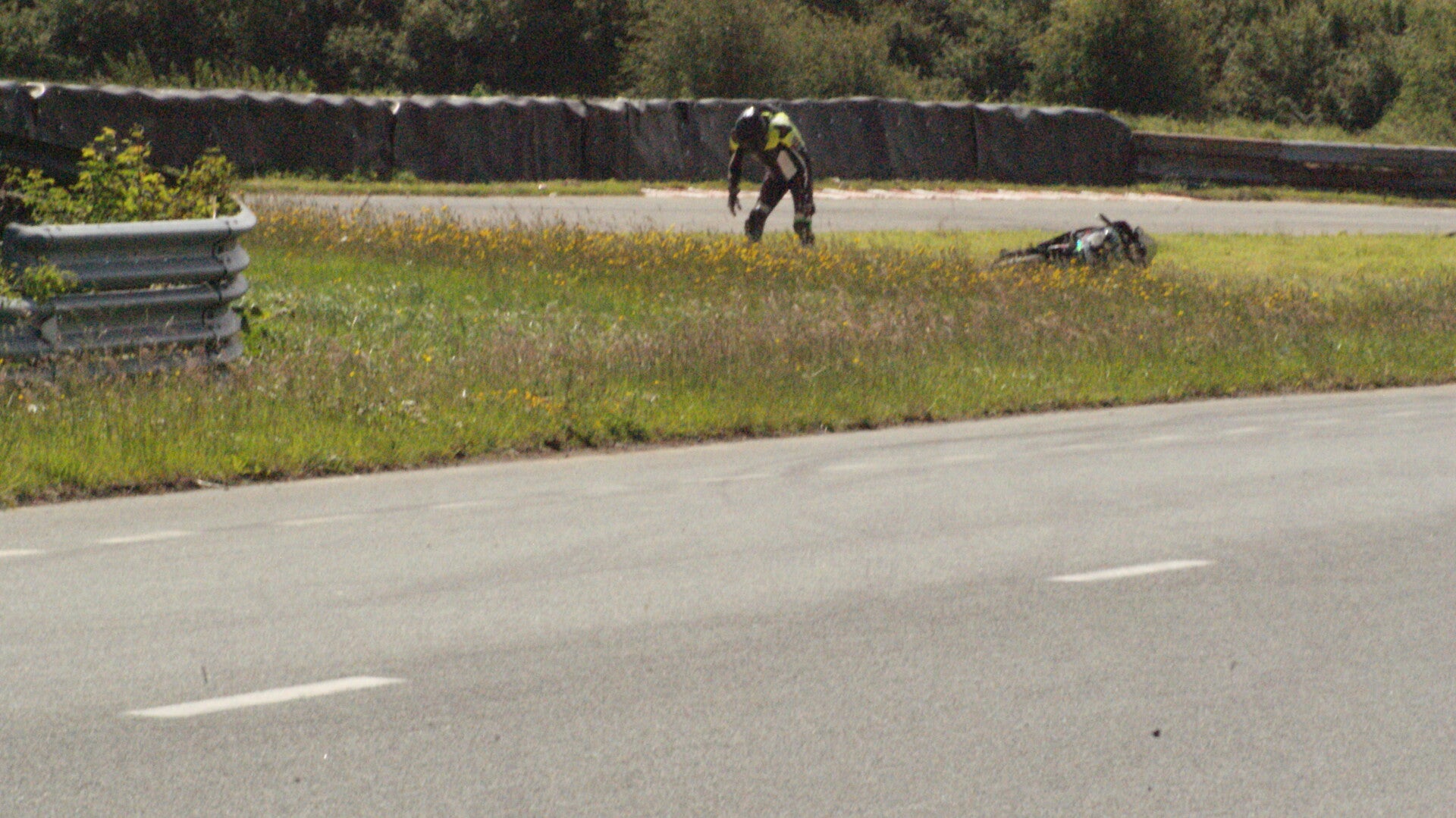 dsc07434-standard.jpg