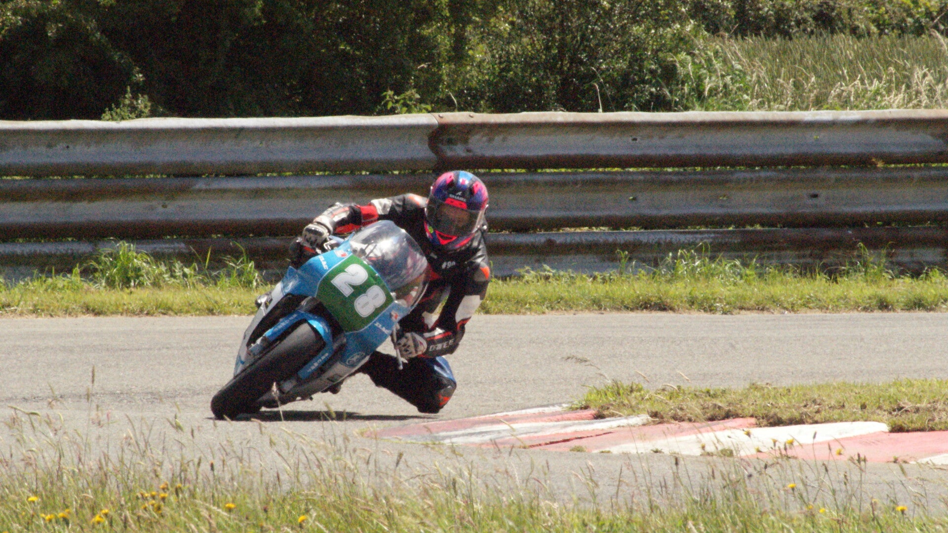 dsc07535-standard.jpg
