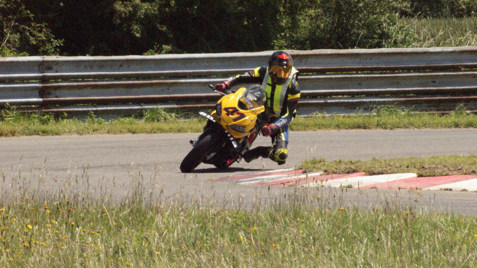 dsc07607-standard.jpg