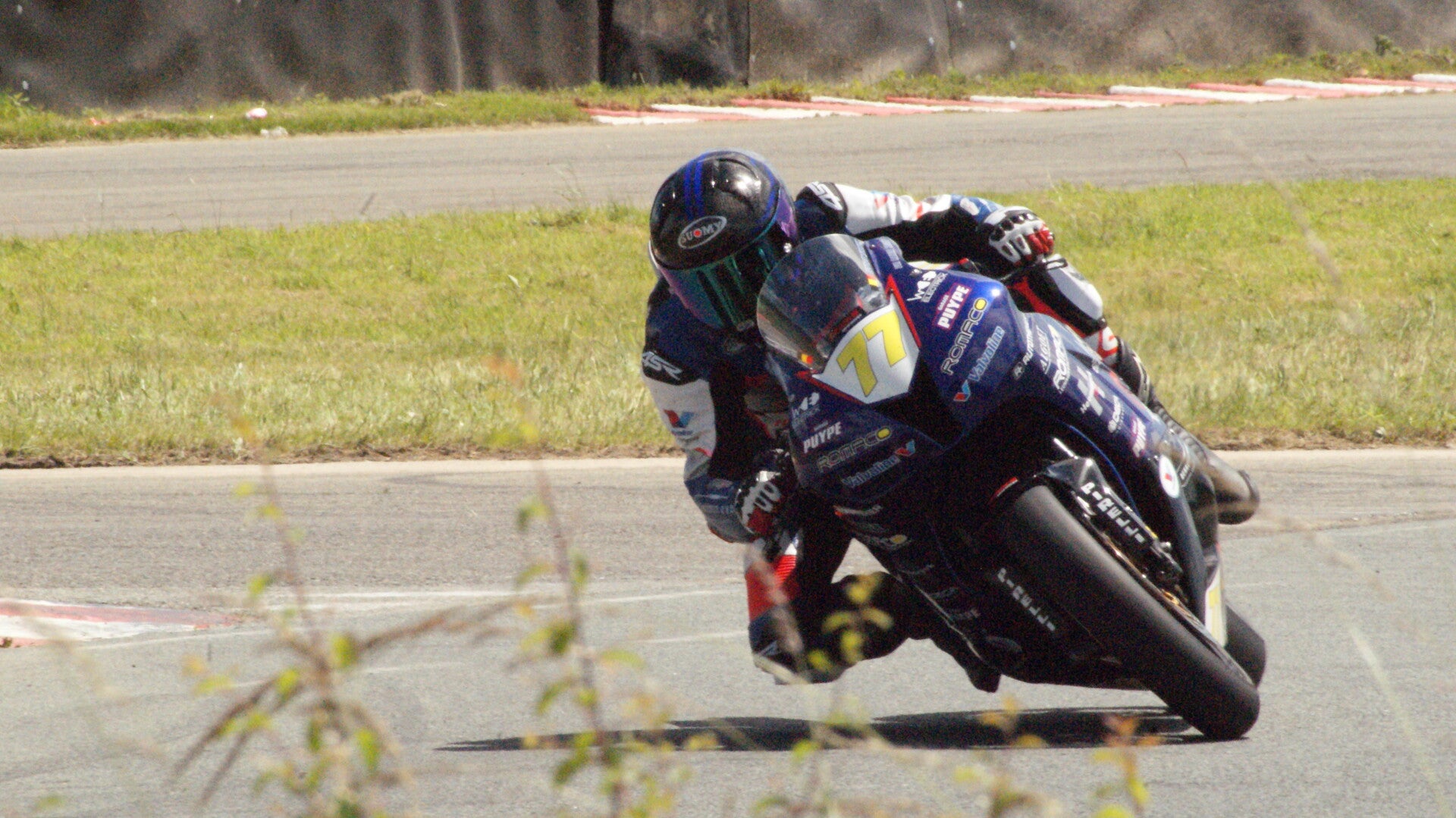 dsc07644-standard.jpg