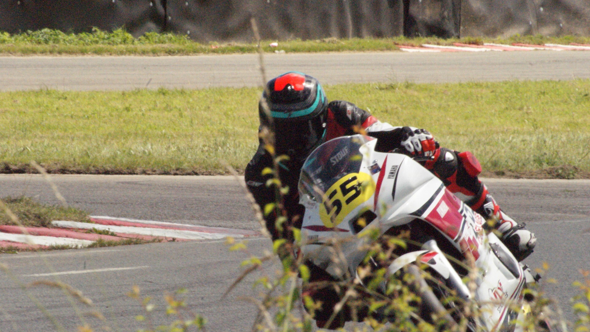 dsc07650-standard.jpg