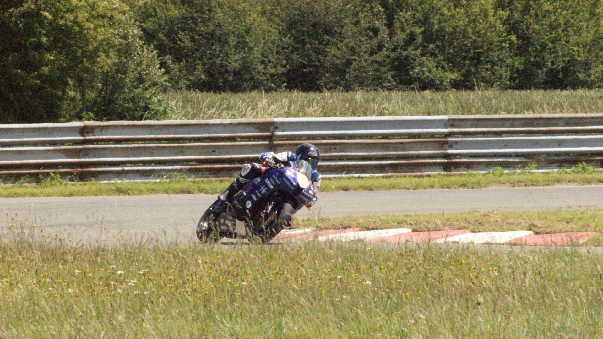 dsc07655-standard.jpg