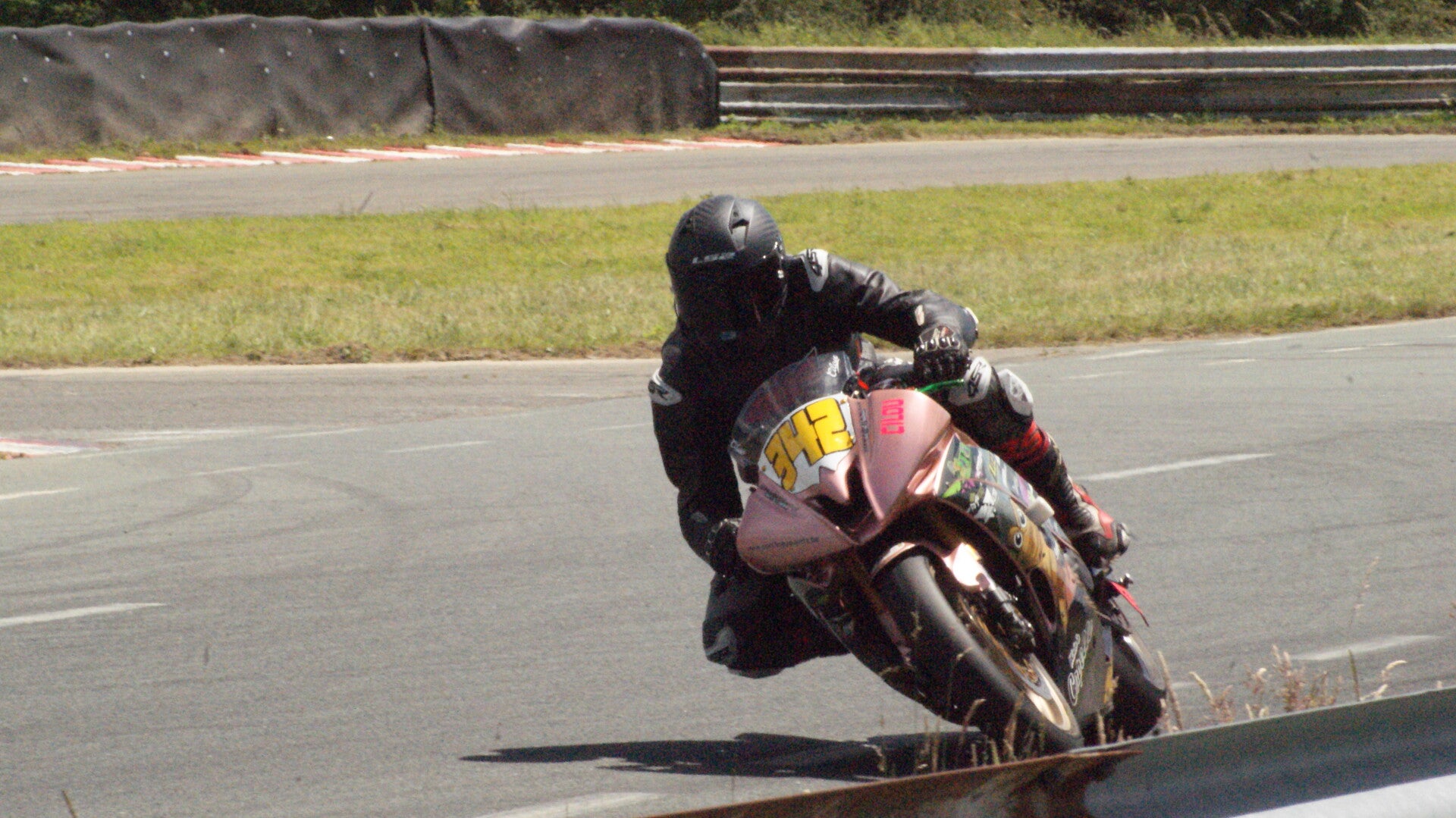 dsc07687-standard.jpg