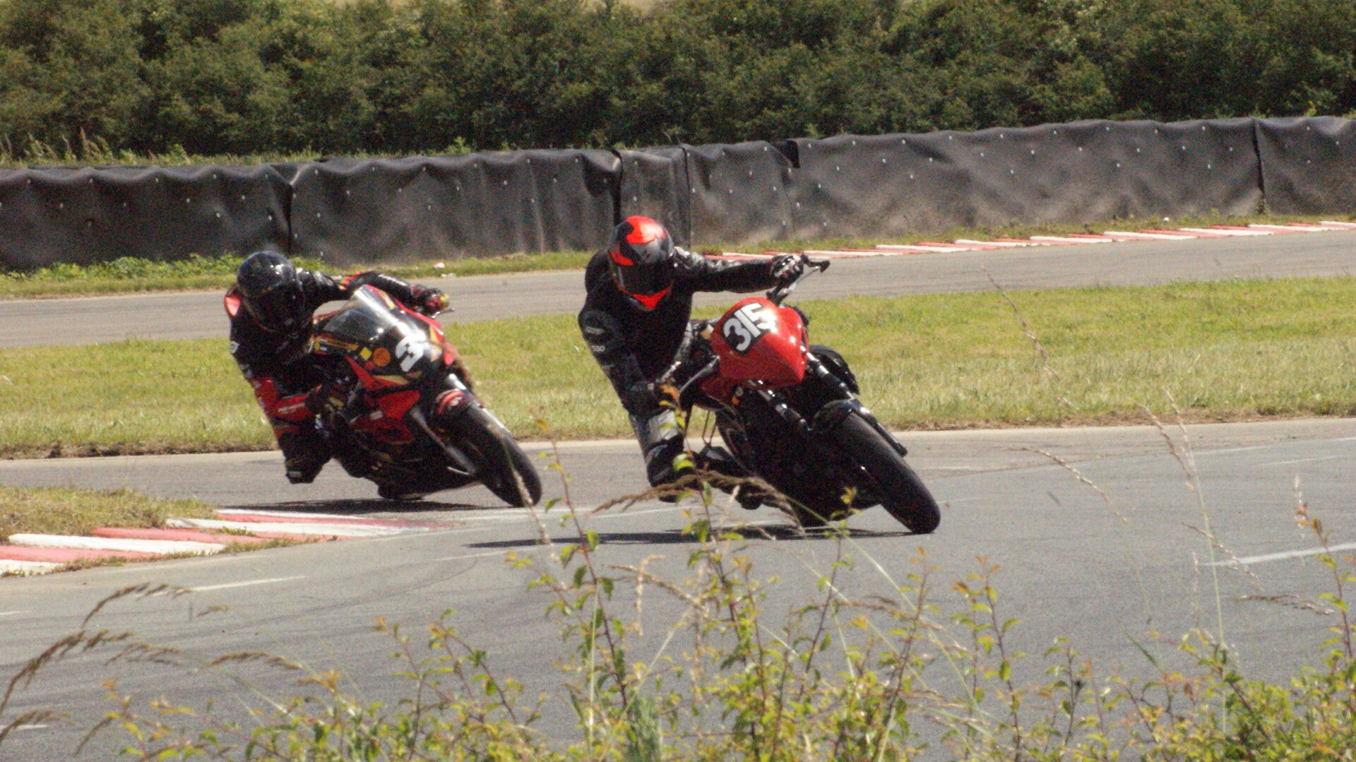dsc07714-standard.jpg