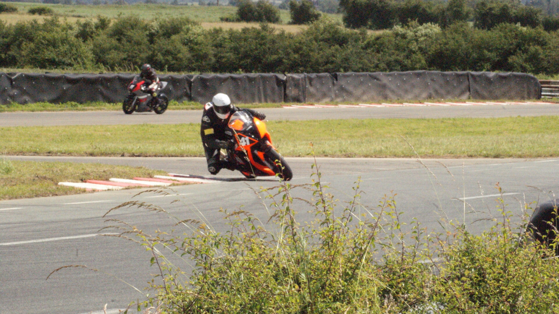 dsc07717-standard.jpg