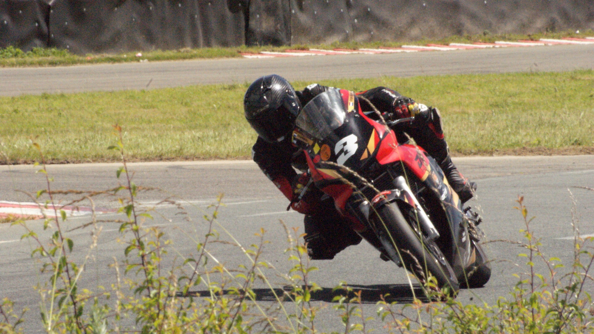 dsc07730-standard.jpg