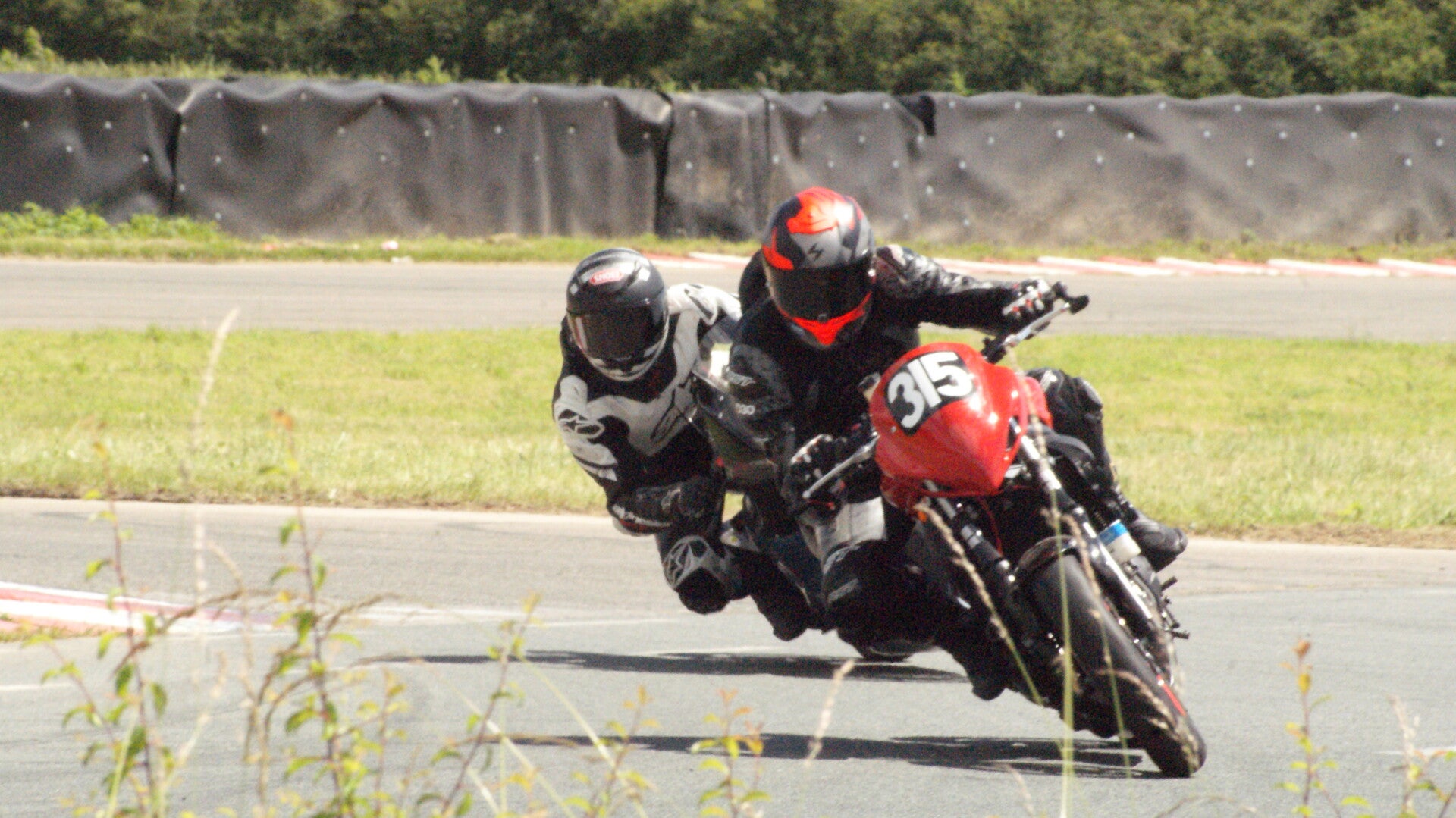 dsc07731-standard.jpg