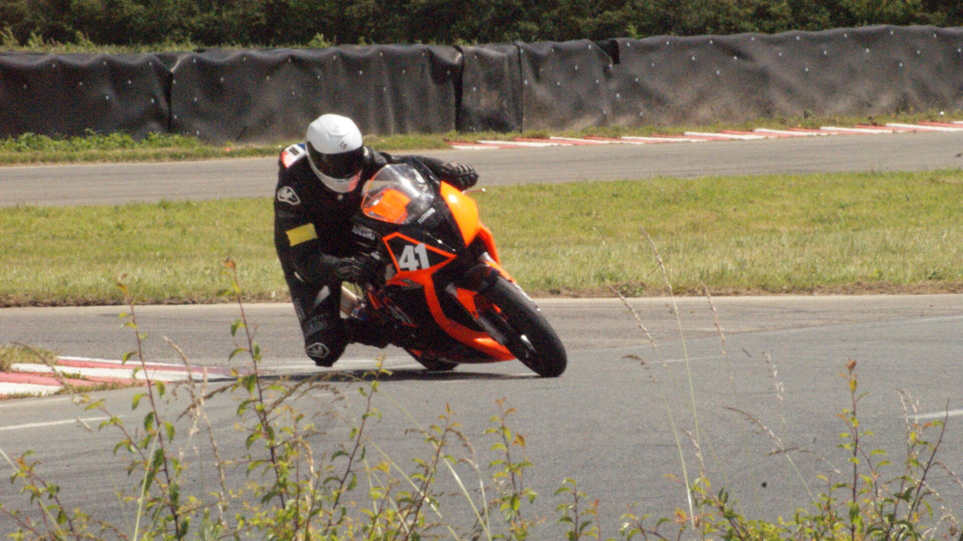 dsc07733-standard.jpg