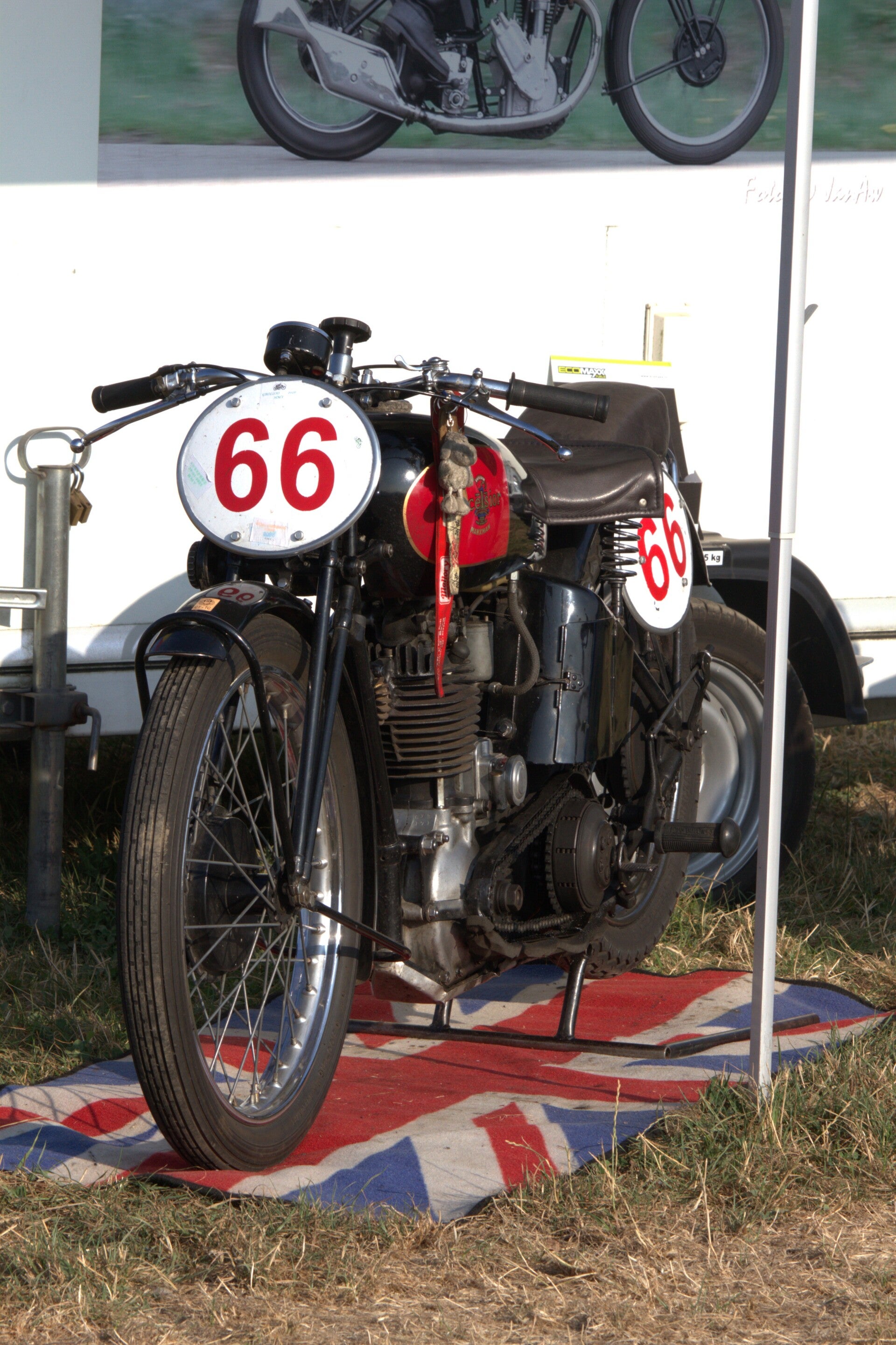 img_0174-standard.jpg