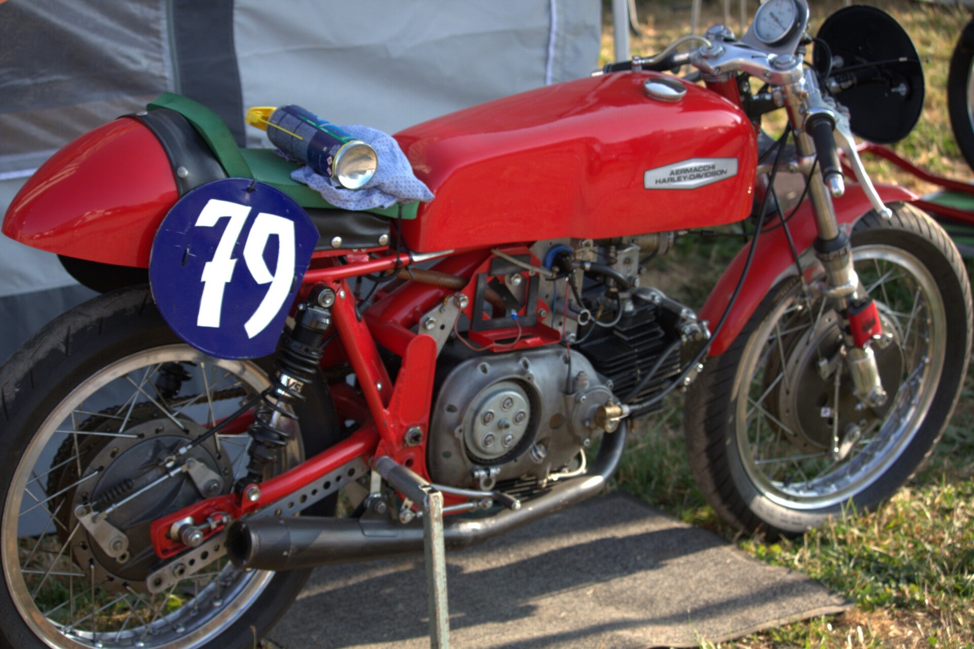 img_0181-standard.jpg
