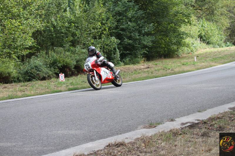 img_0310-standard-gc6trz.jpg