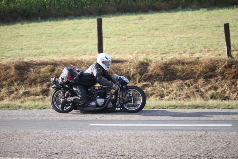 img_0488-standard-00m1sh.jpg