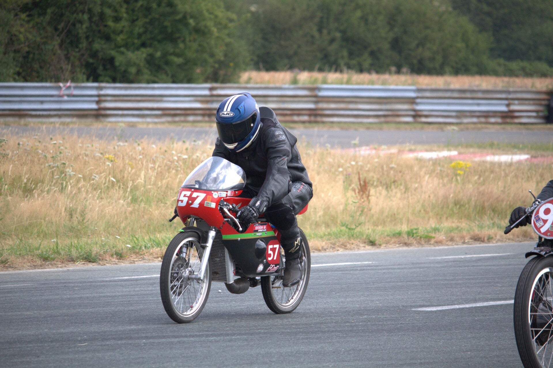 img_0540-standard.jpg
