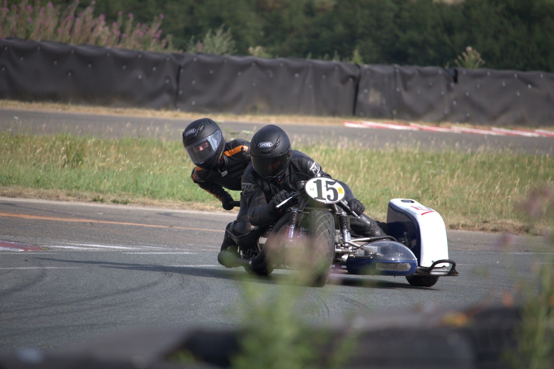img_0778-standard.jpg