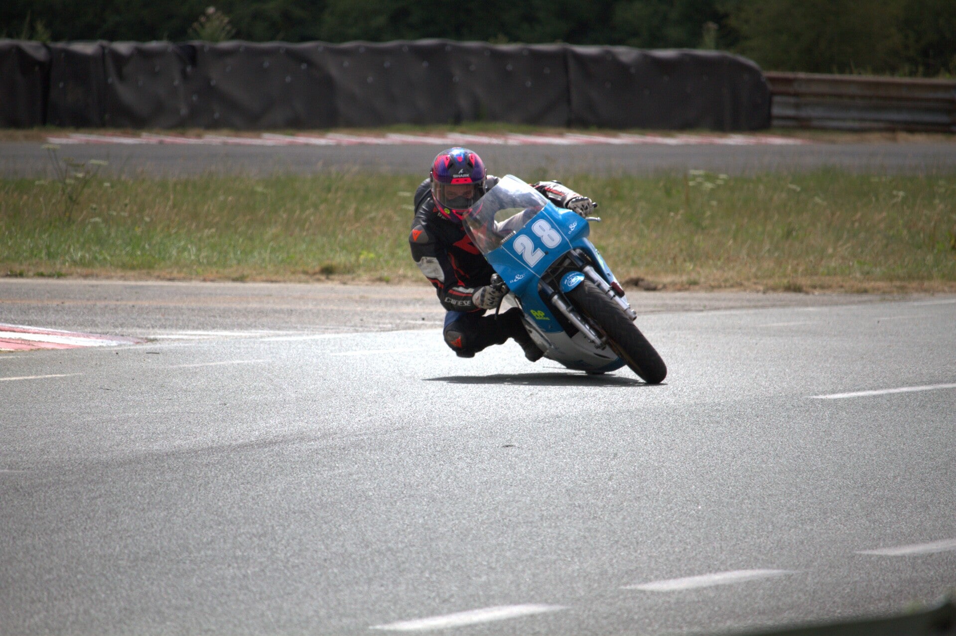 img_1029-standard.jpg
