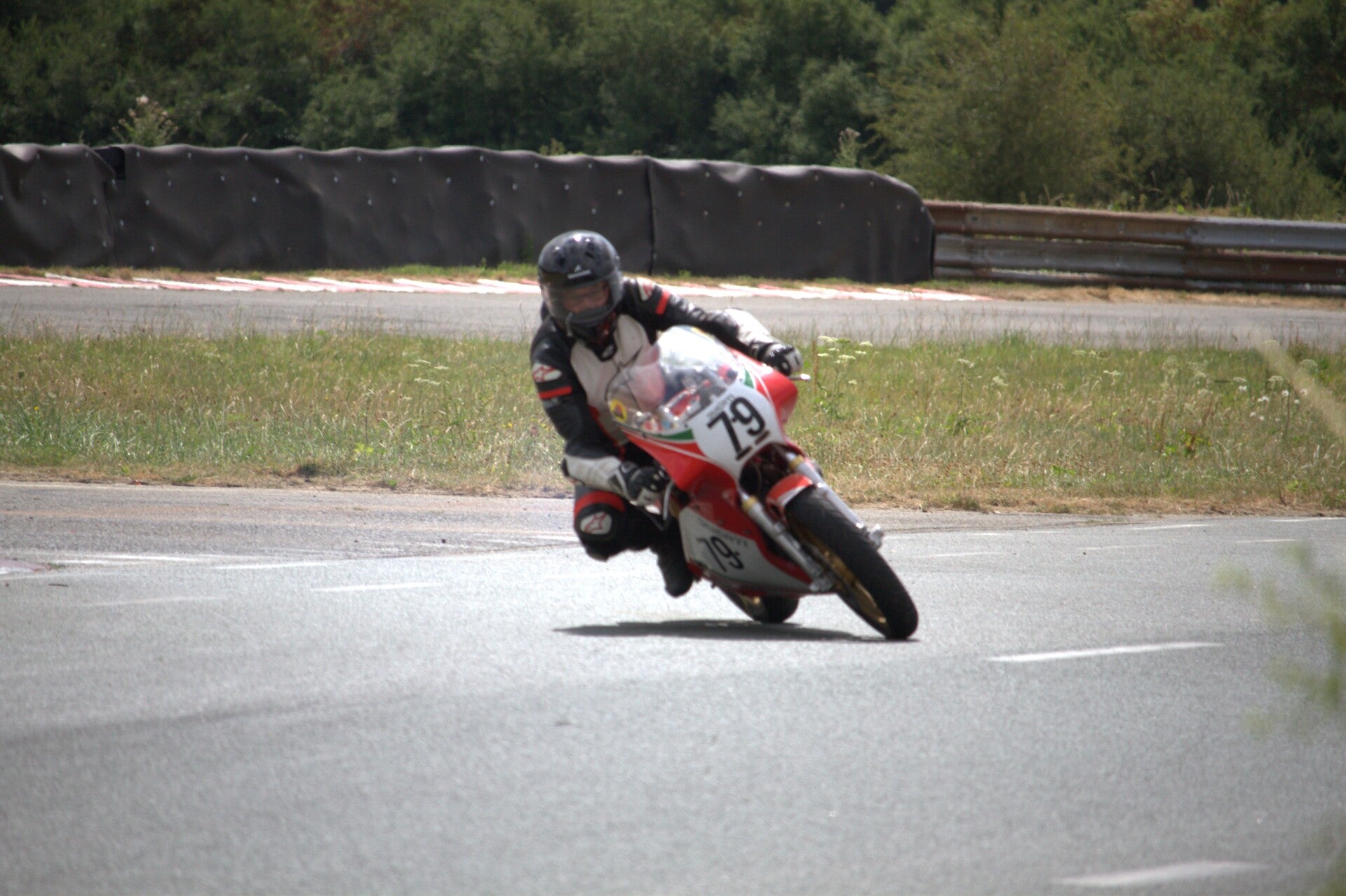 img_1033-standard.jpg