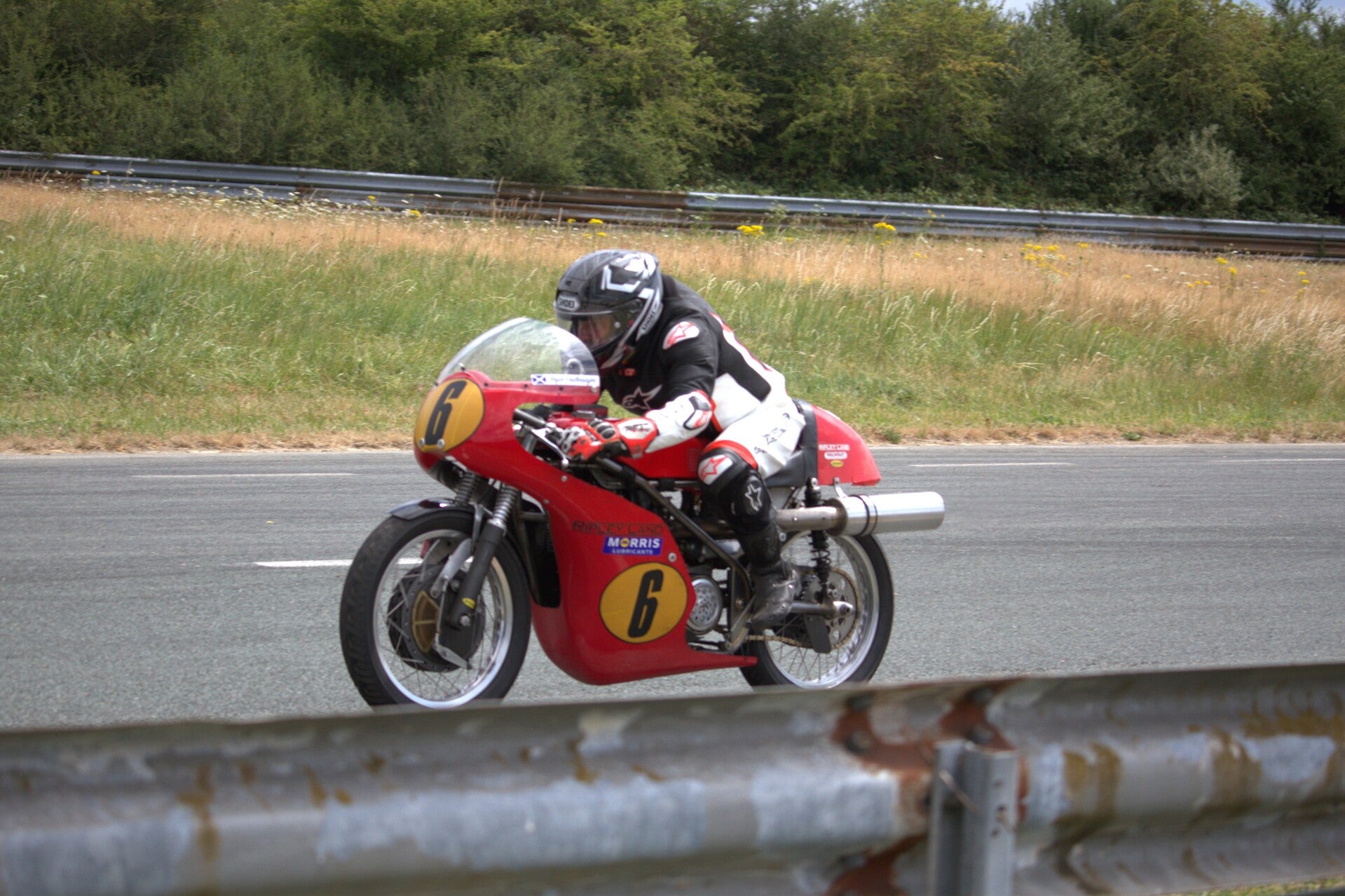 img_1173-standard-dtglt7.jpg