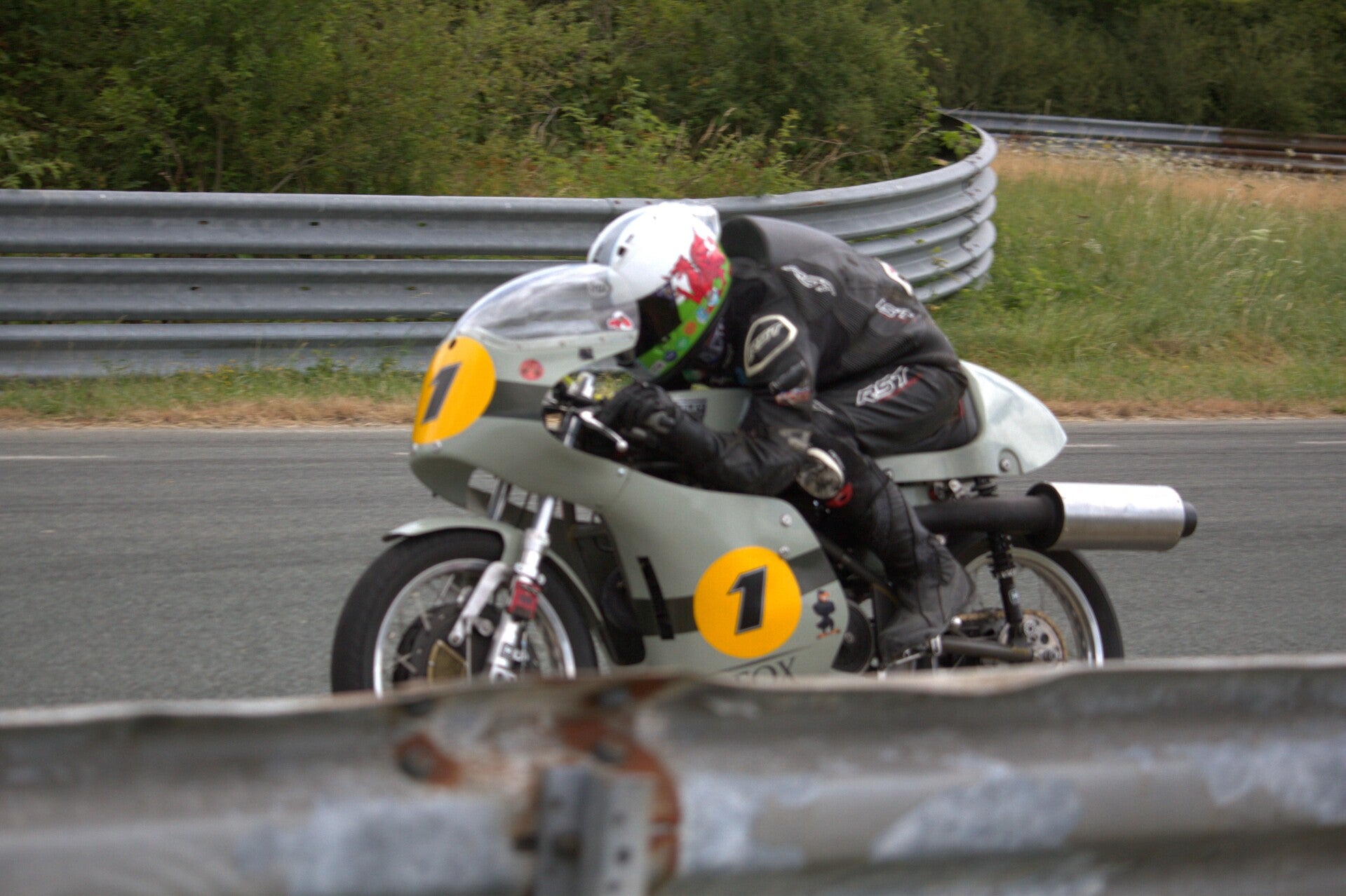 img_1191-standard-in1iou.jpg