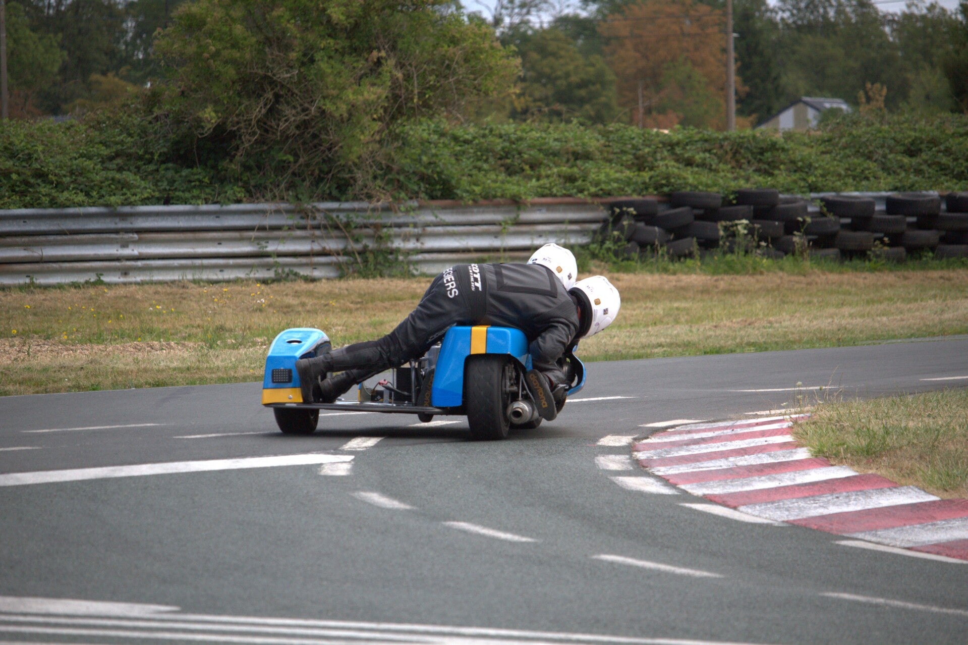 img_1229-standard.jpg