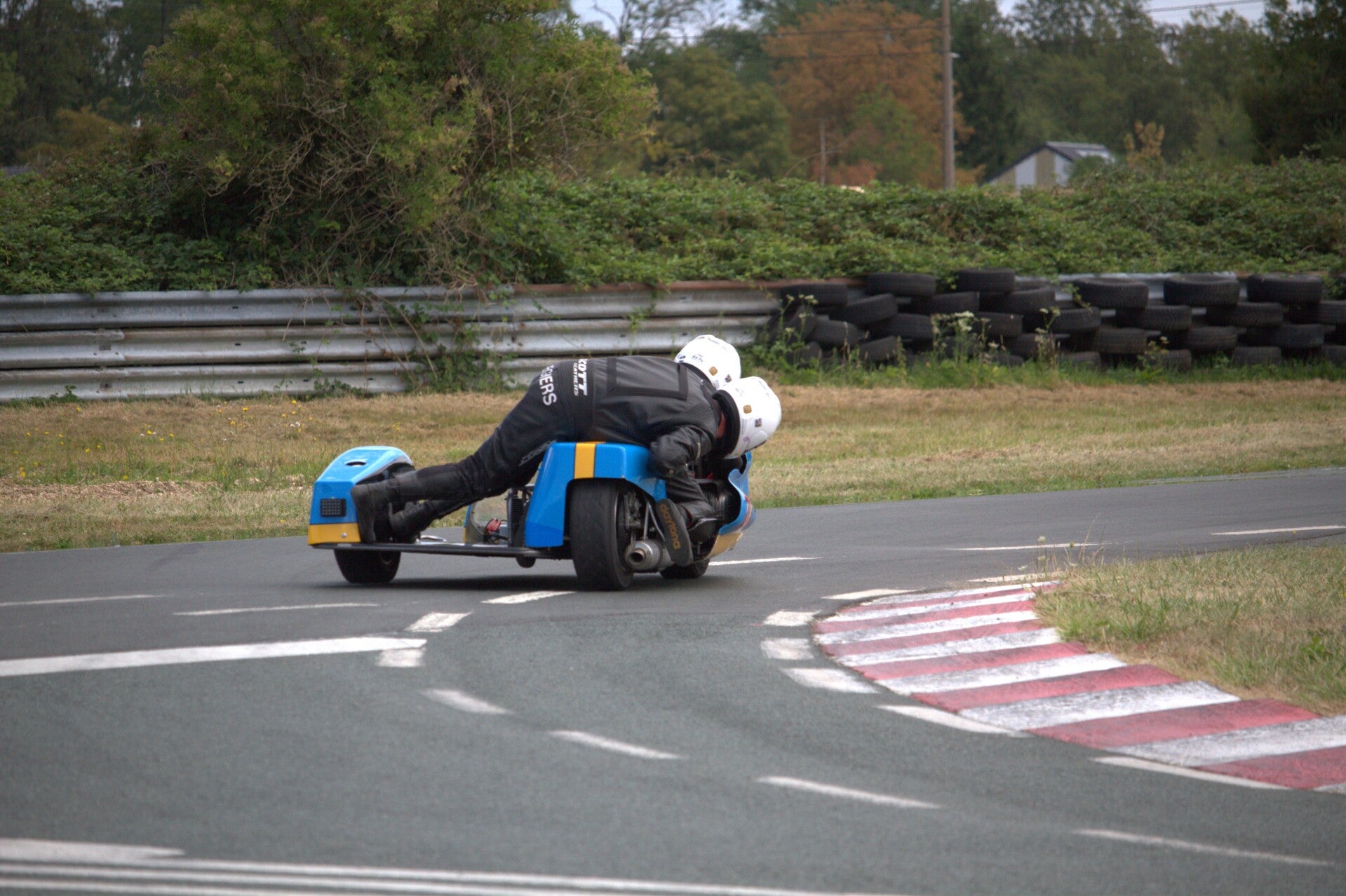 img_1230-standard.jpg