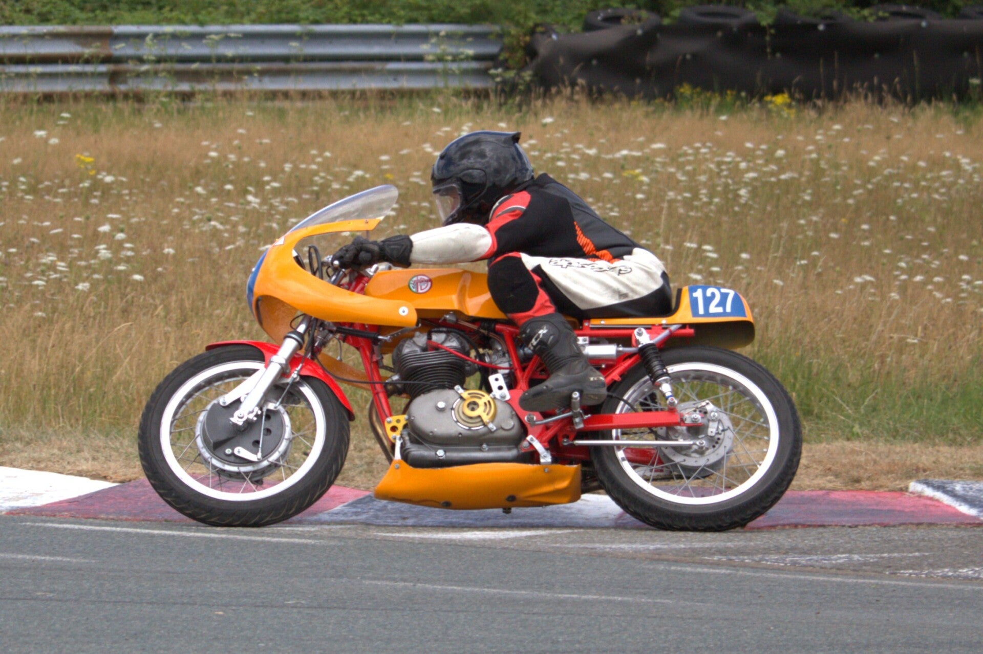 img_1241-standard.jpg