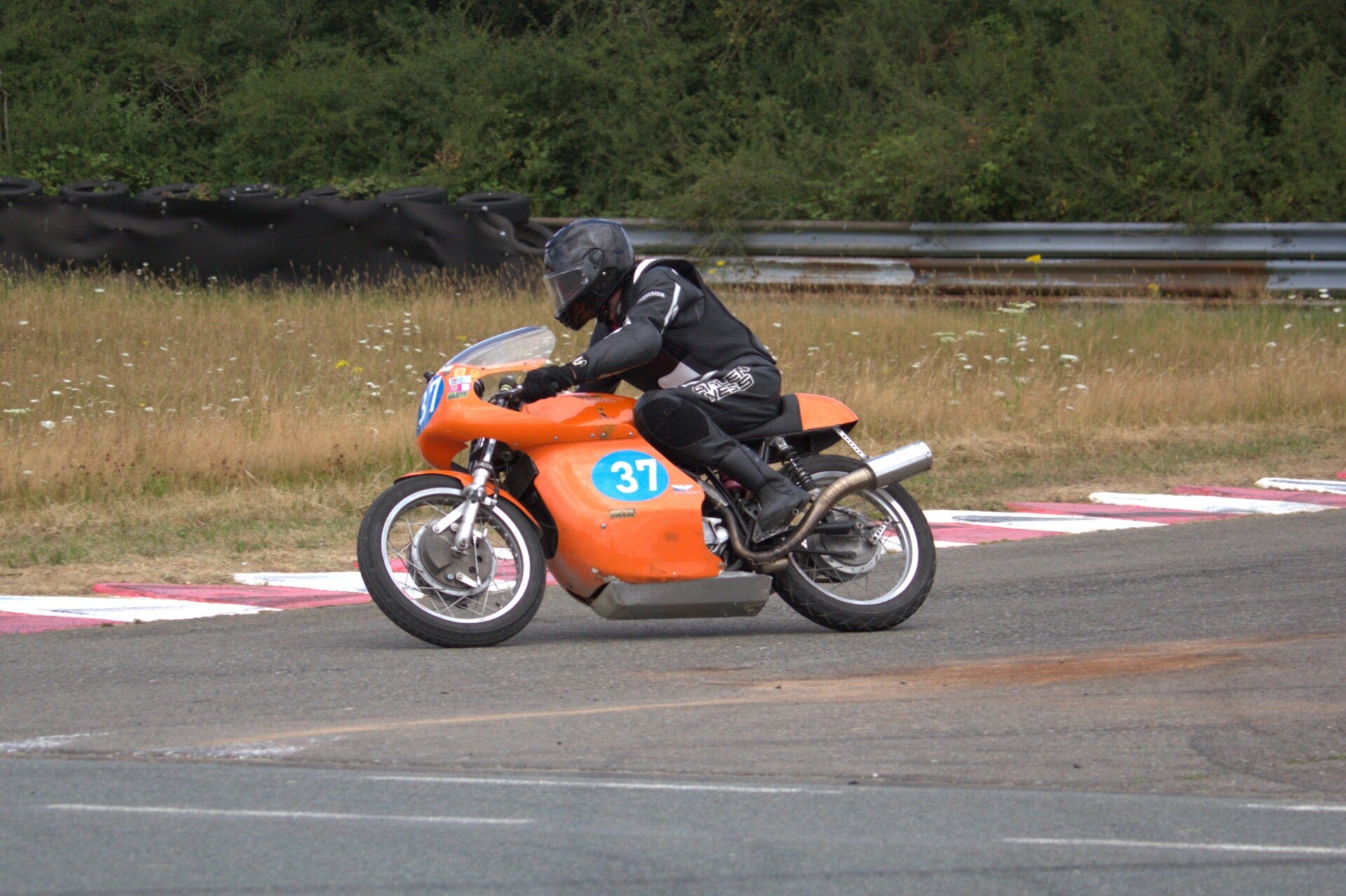 img_1243-standard.jpg