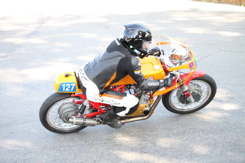 img_1247-standard-3lb5xx.jpg