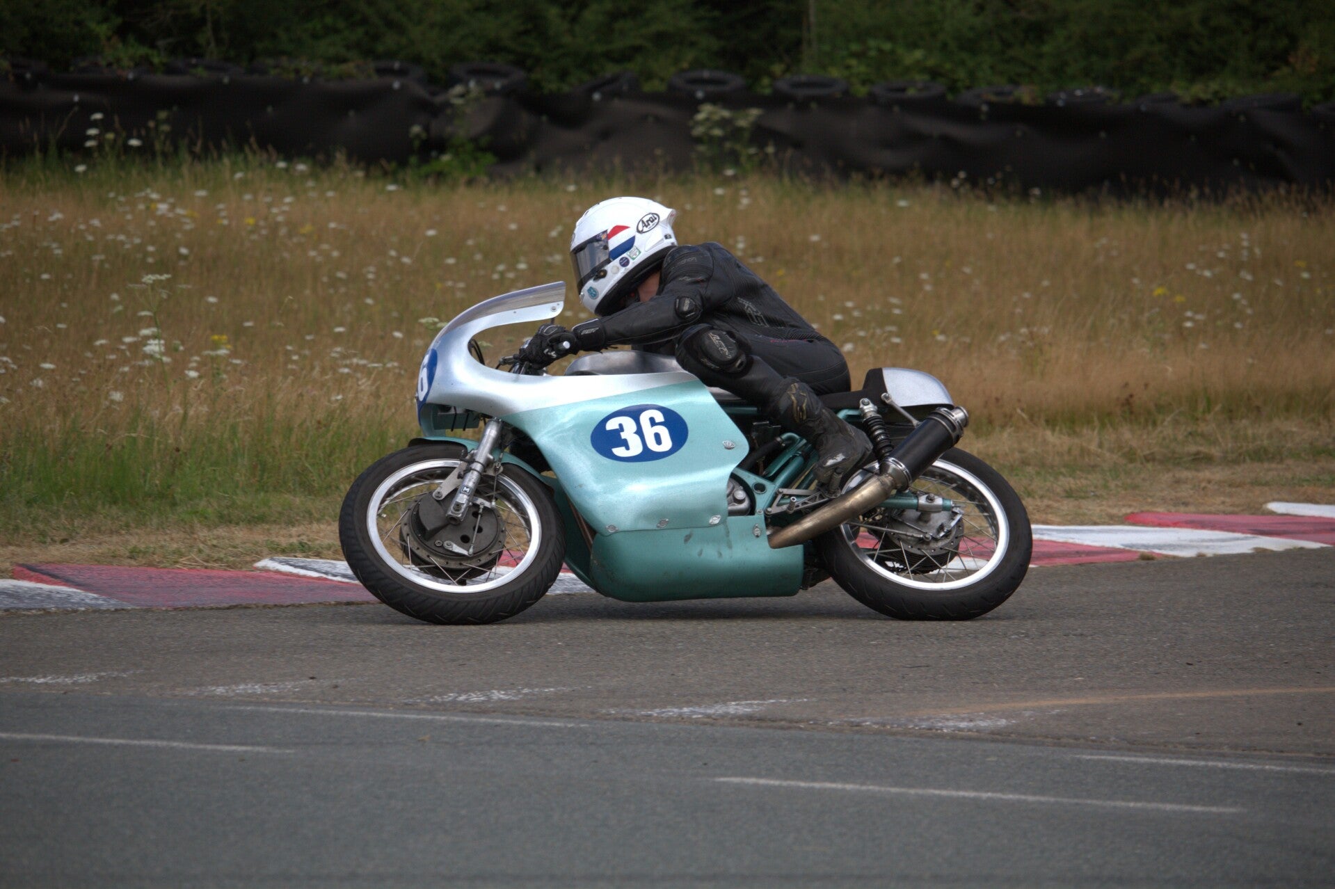 img_1252-standard.jpg