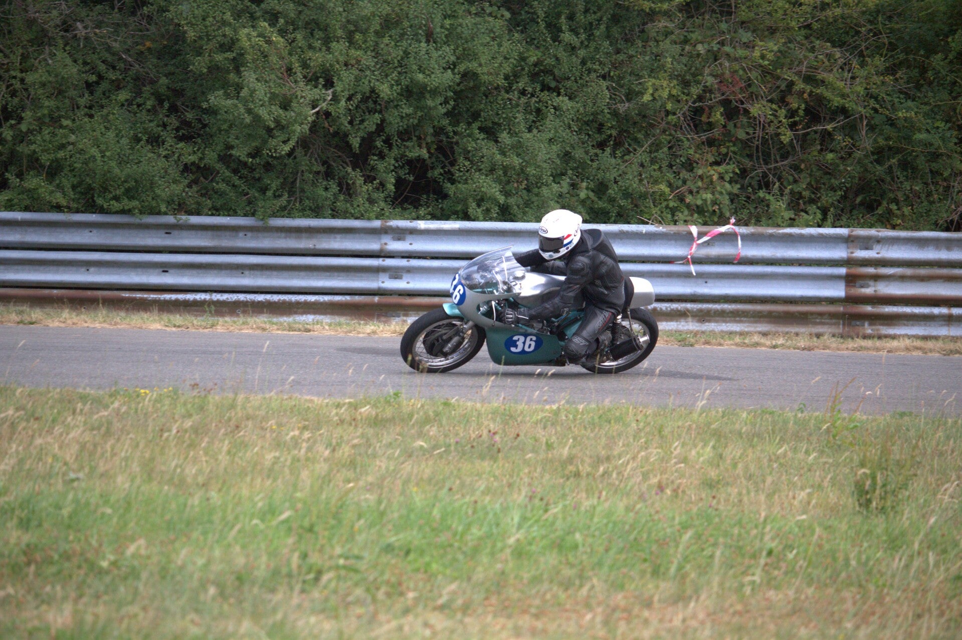 img_1258-standard.jpg