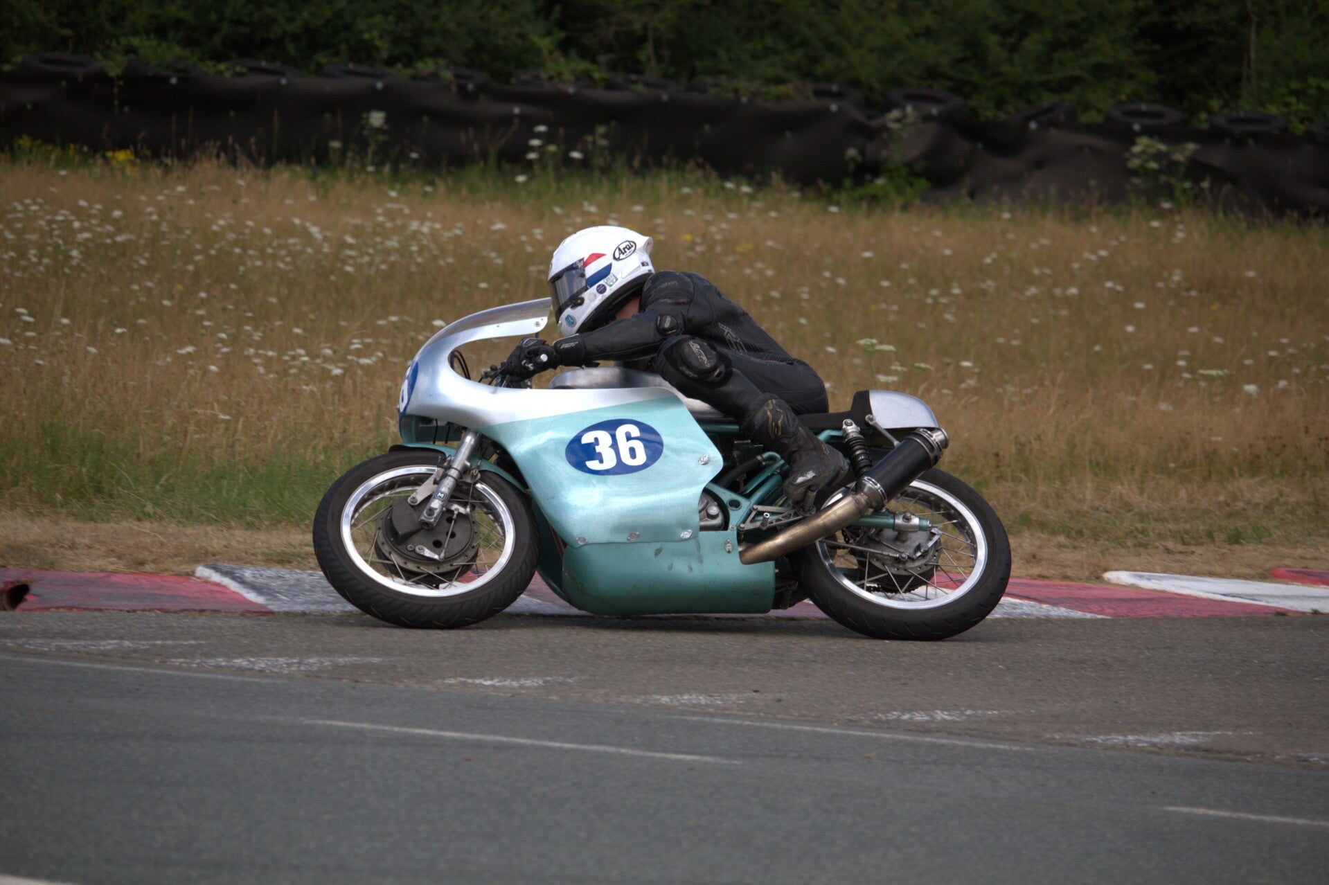 img_1260-standard.jpg