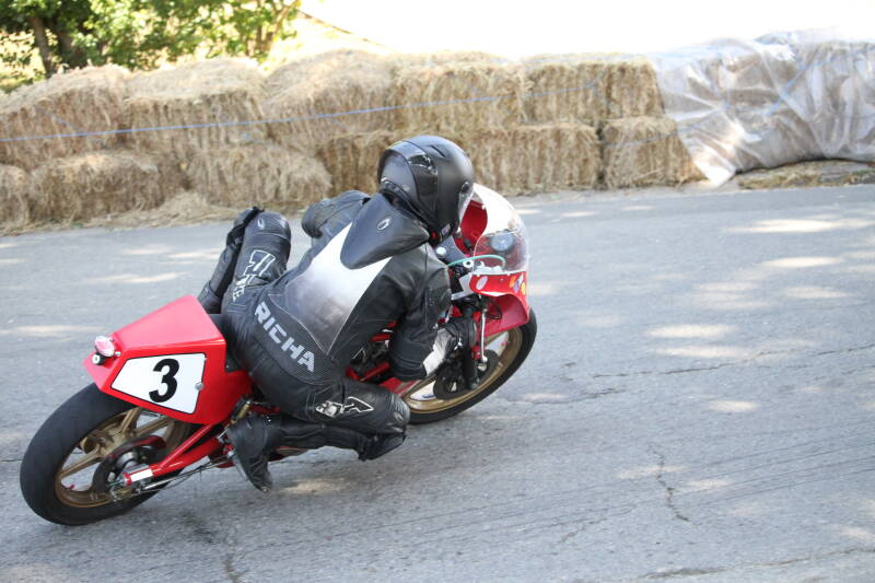 img_1266-standard-k6mzsj.jpg