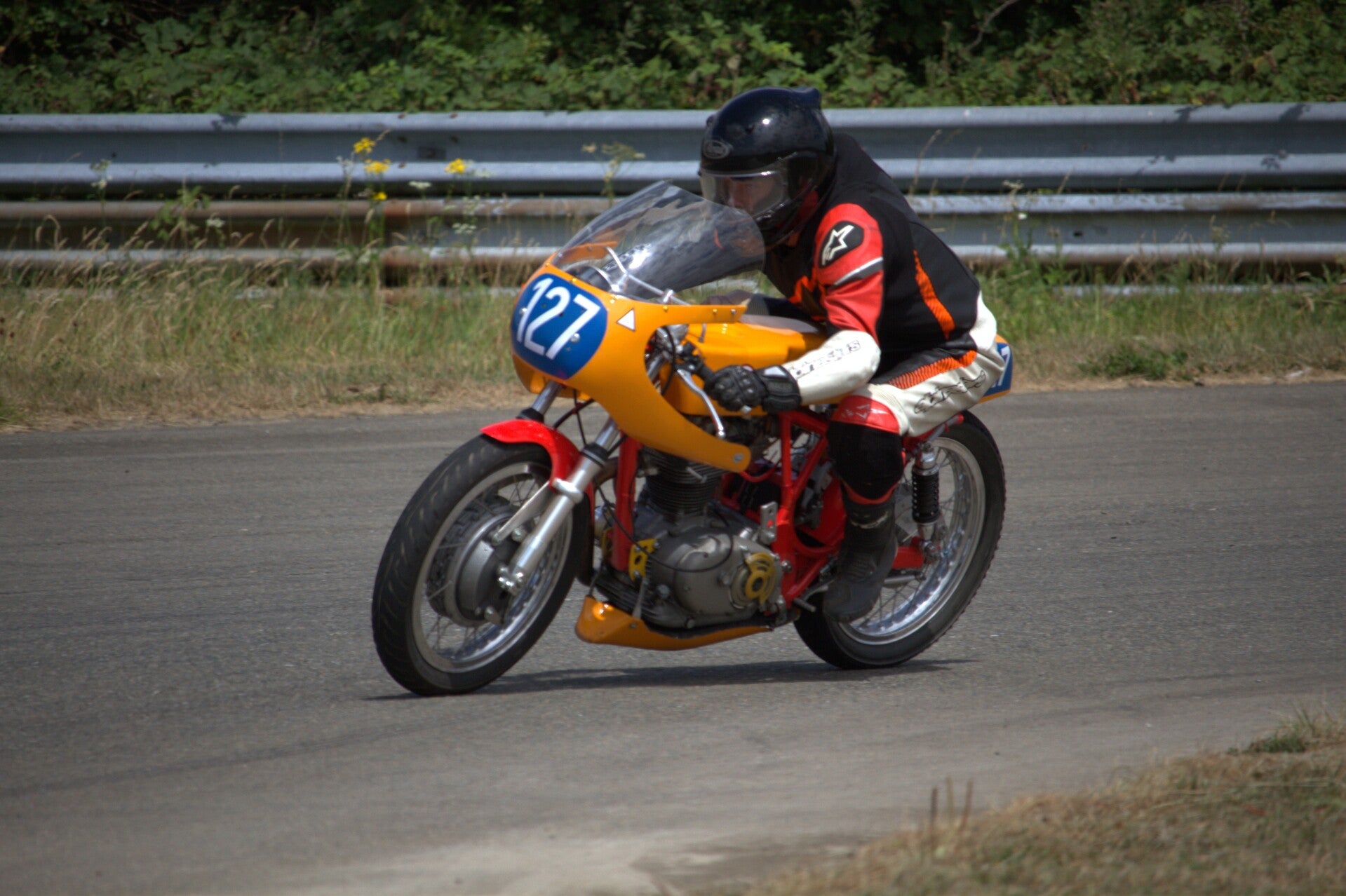 img_1282-standard.jpg