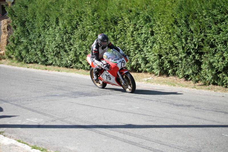 img_1308-standard.jpg