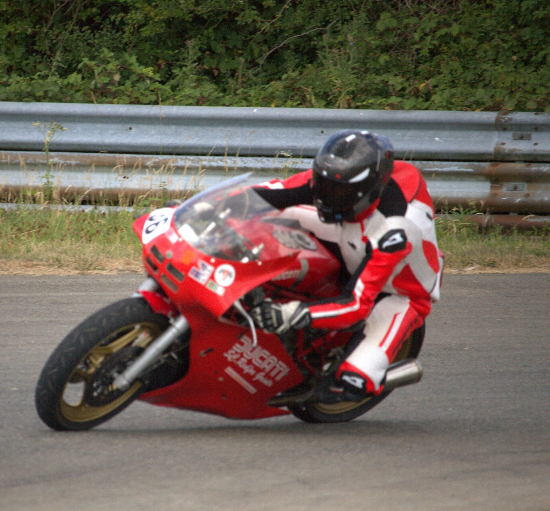 img_1354-standard.jpg