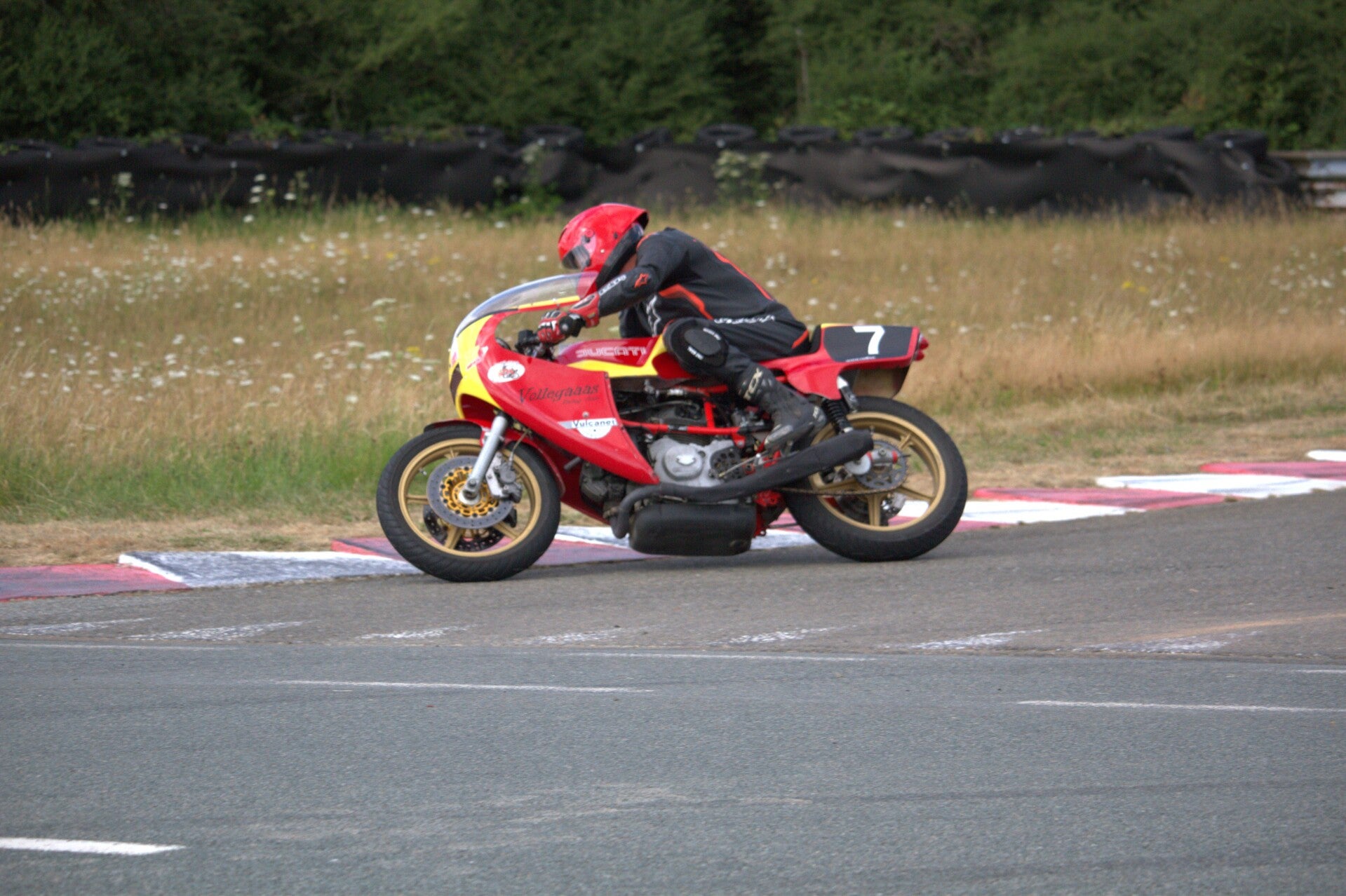 img_1370-standard.jpg